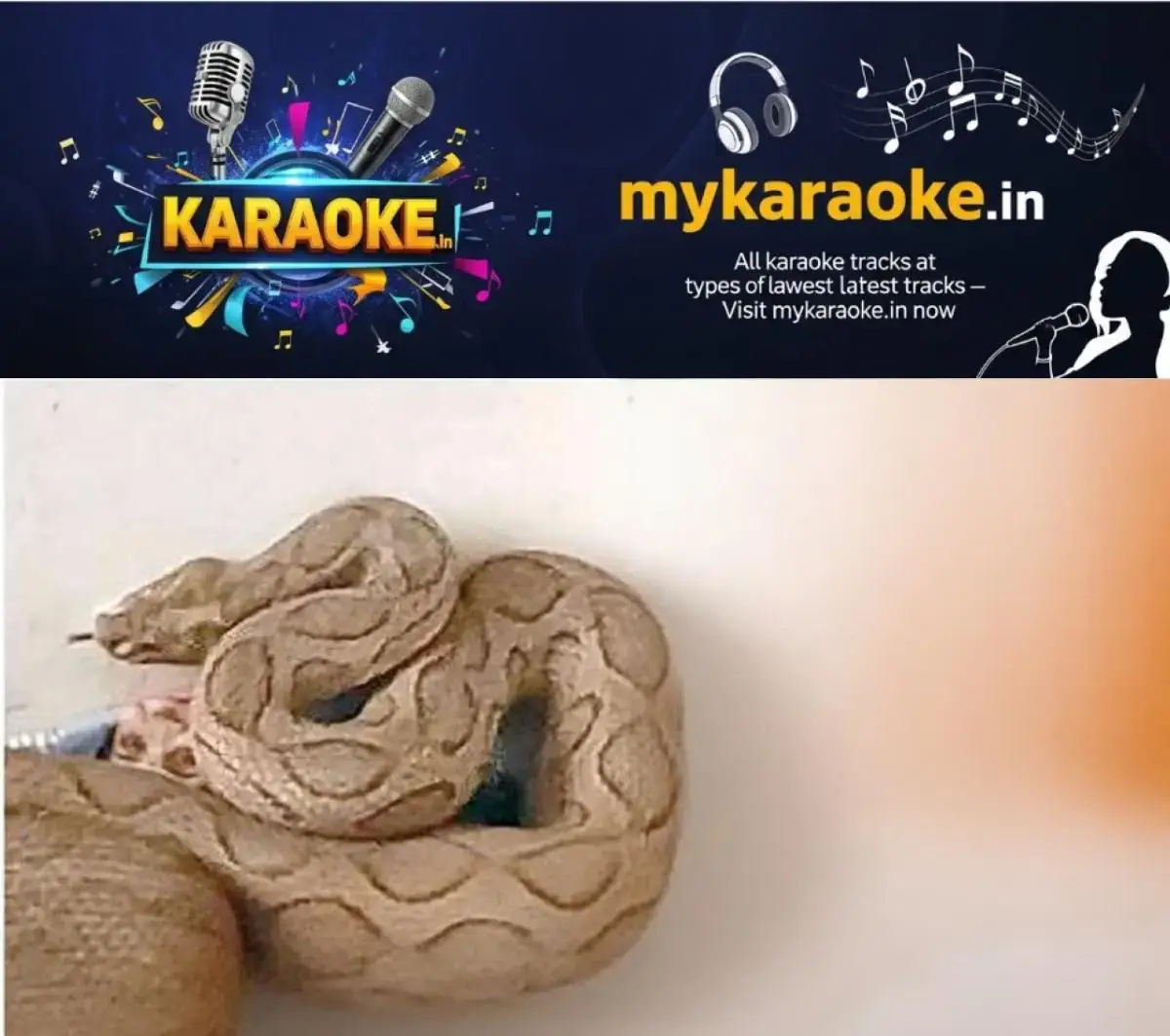 newskerala.net_1769114703_w-1280h-720format-jpgimgid-01kfkpvvqy58s0jypdzqet2a6kimgname-viper-1769114300158