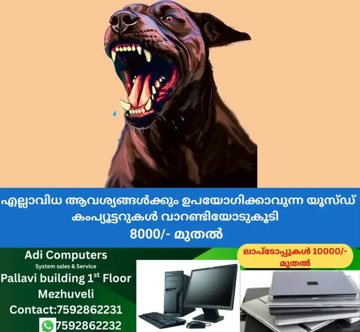 newskerala.net_1769143742_kannur-stry-dog-representational