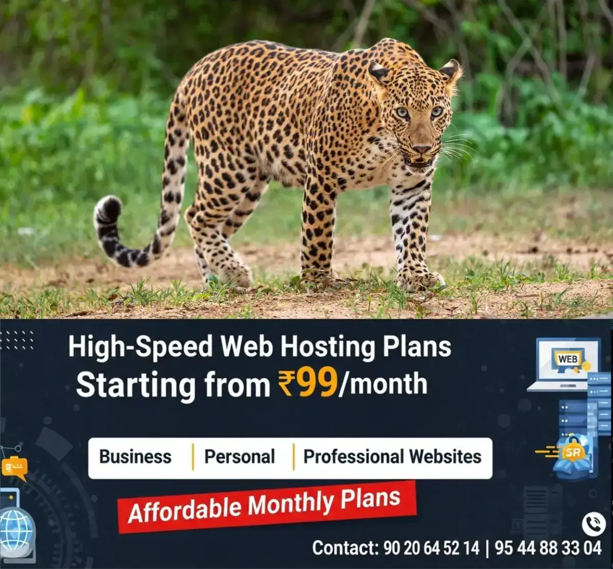 newskerala.net_1769326704_male-leopard-110801