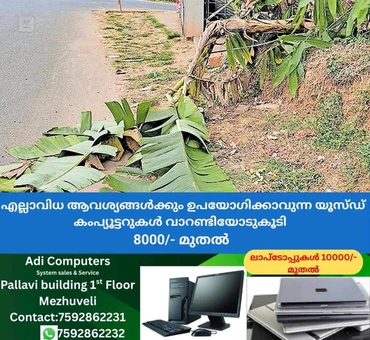 newskerala.net_1769408304_wild-elephant-attacks
