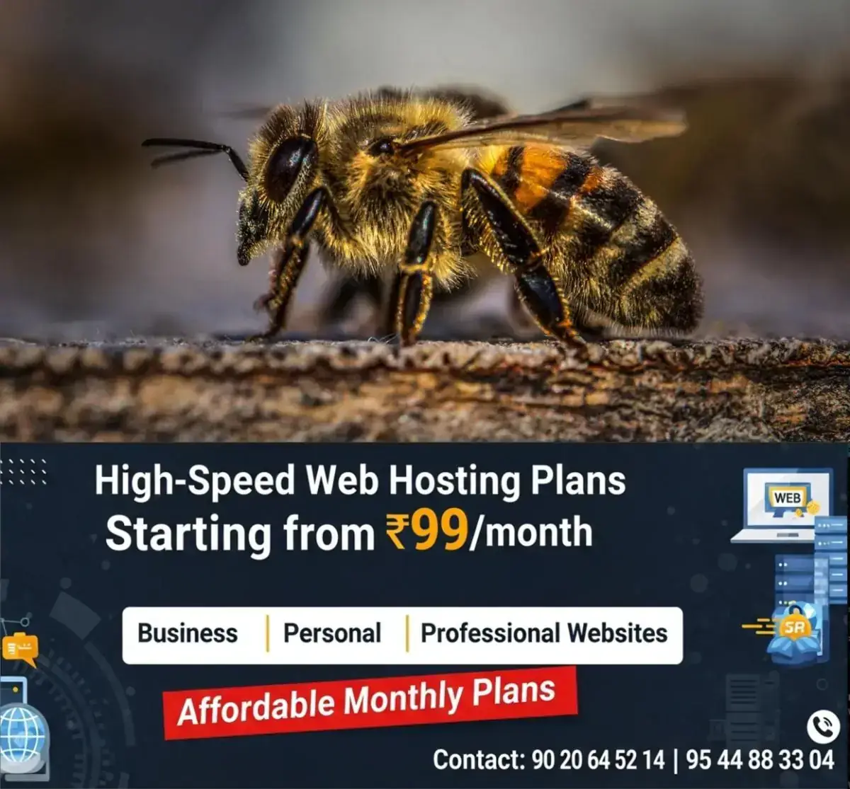 newskerala.net_1769412264_honey-bee-image
