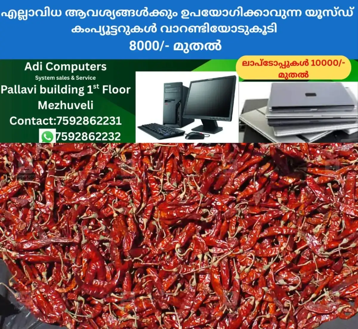 newskerala.net_1769578104_drying-red-chilly-1
