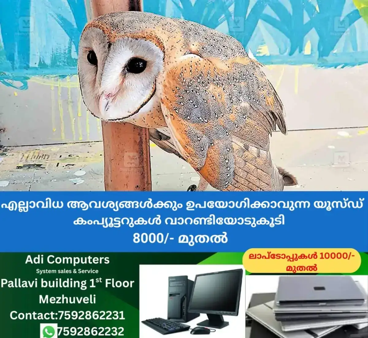 newskerala.net_1769578465_kannur-owl