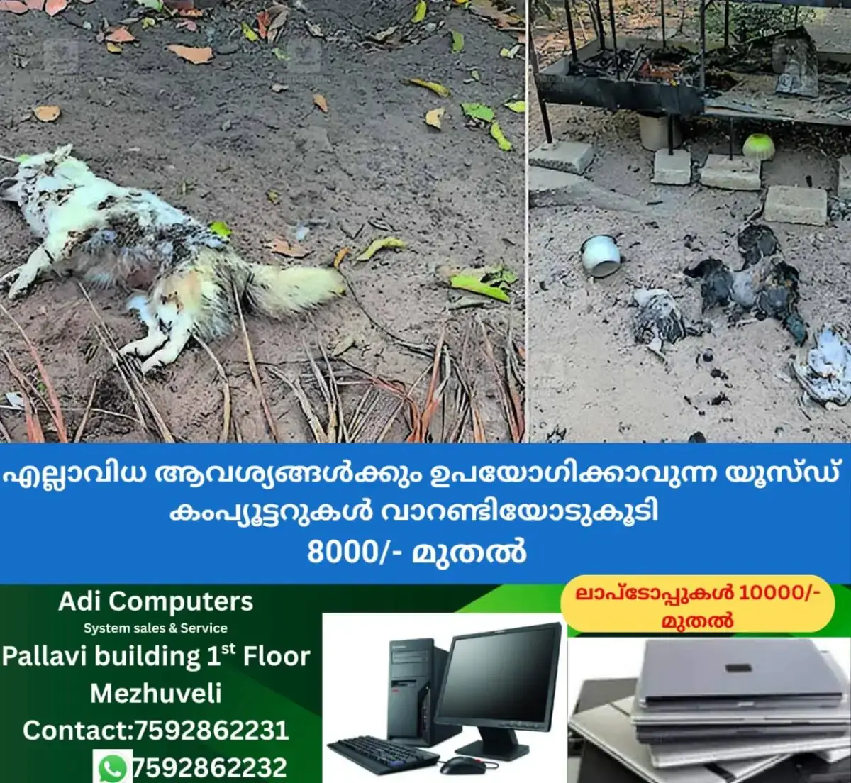 newskerala.net_1769579523_kollam-mysterious-creature-attack