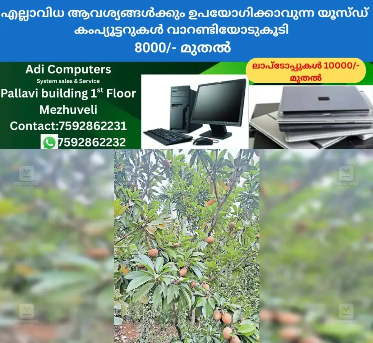 newskerala.net_1769662944_malabar-fruit-farming-struggles