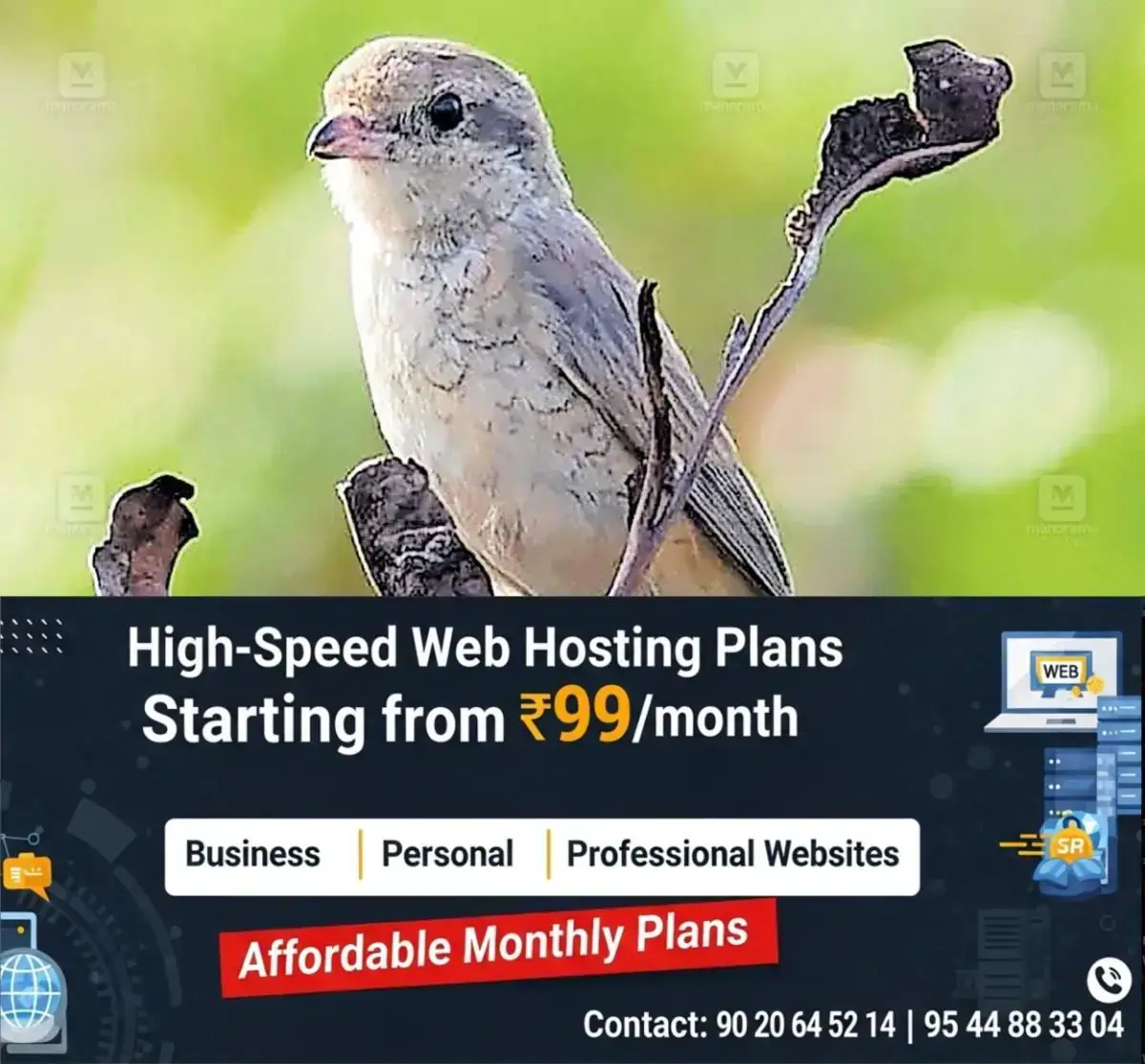 newskerala.net_1769669411_rare-bird