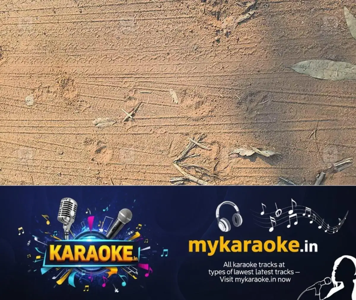 newskerala.net_1769670491_vakathanam-mystery-animal-attack