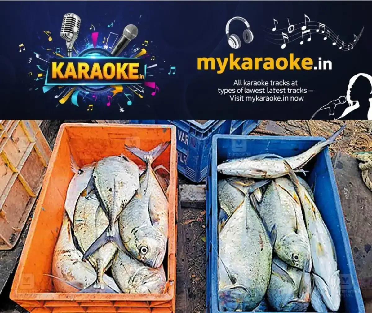 newskerala.net_1769854231_vatta-fish