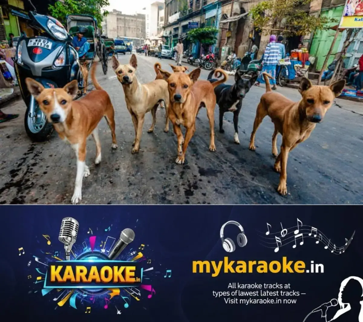 newskerala.net_1769876183_w-1280h-720format-jpgimgid-01kfq4xz43hr458ff2eaazk9gdimgname-telangana-stray-dogs-killed-900-dea
