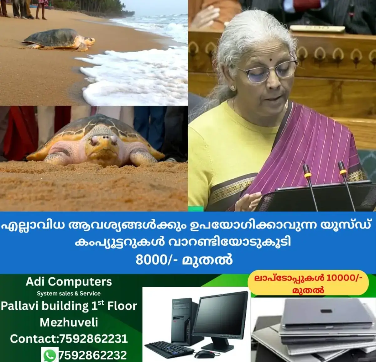 newskerala.net_1769955985_w-1280h-720format-jpgimgid-01kgcs5j87whv3qtm80e7725q3imgname-sea-turtle-1769955576071