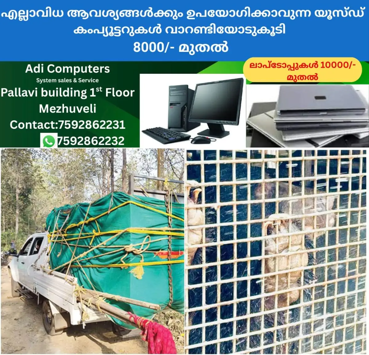 newskerala.net_1770103464_w-1280h-720format-jpgimgid-01kgh5pyszacdd0xz32vhvzrmgimgname-amarambalam-bear-relocation-1770102