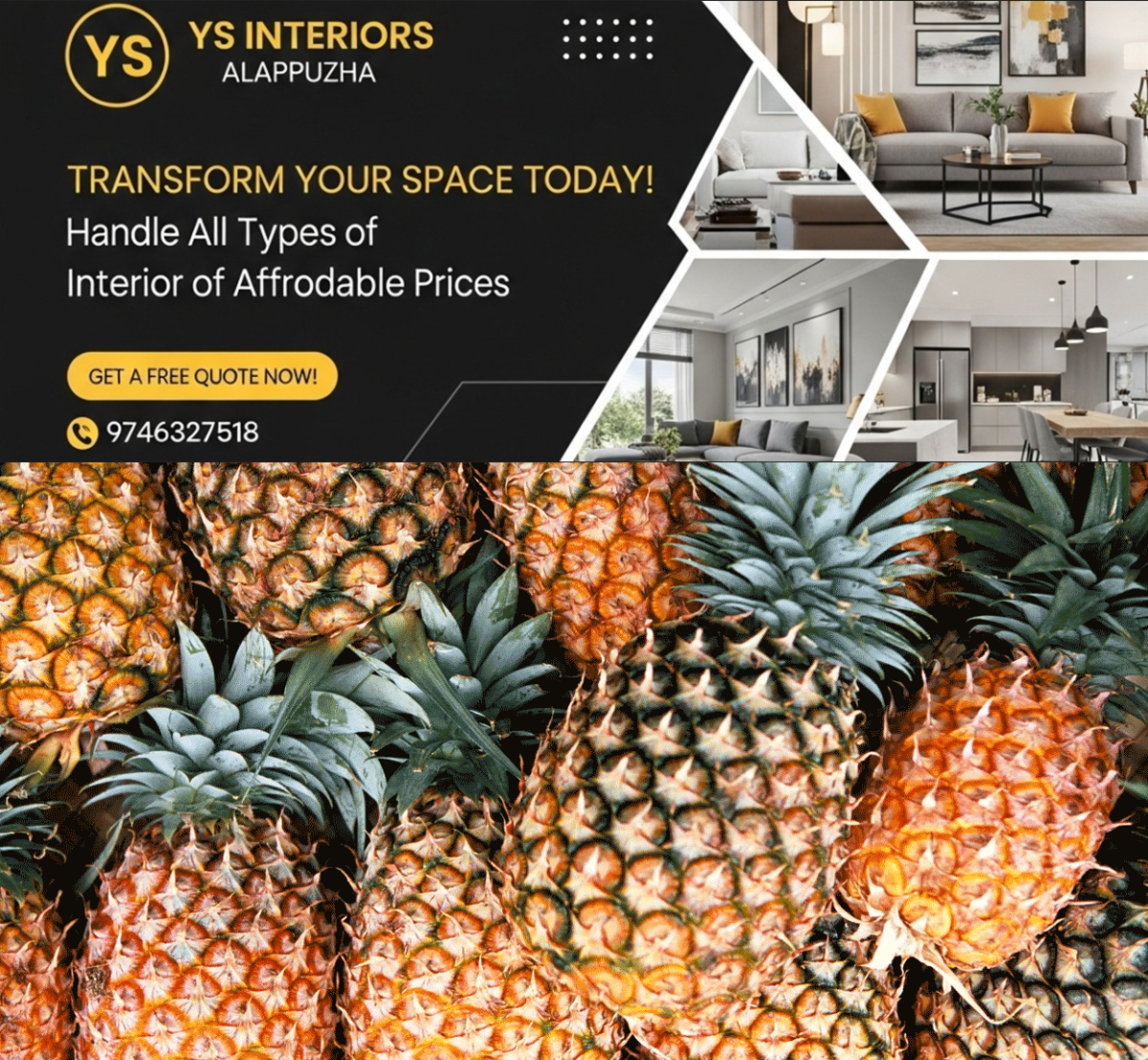 newskerala.net_1770112570_pineapple-env