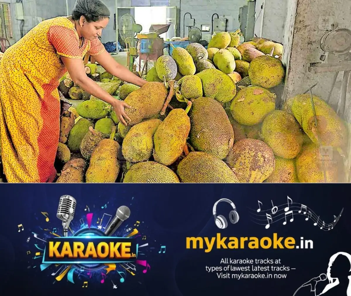 newskerala.net_1770257643_kottayam-jack-fruit