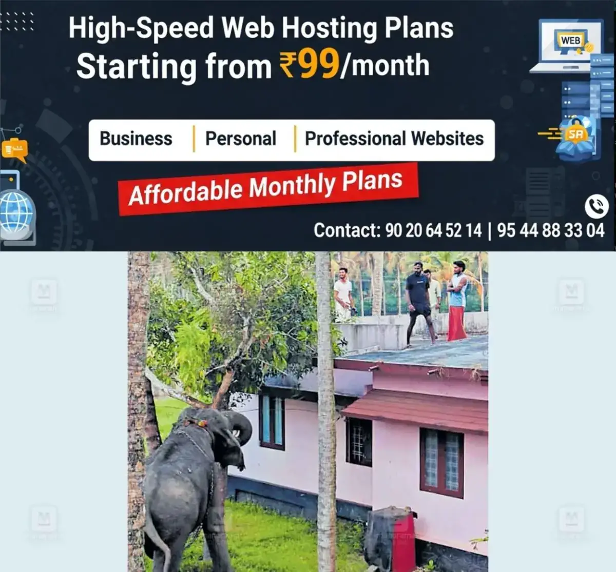 newskerala.net_1770270723_wild-elephant