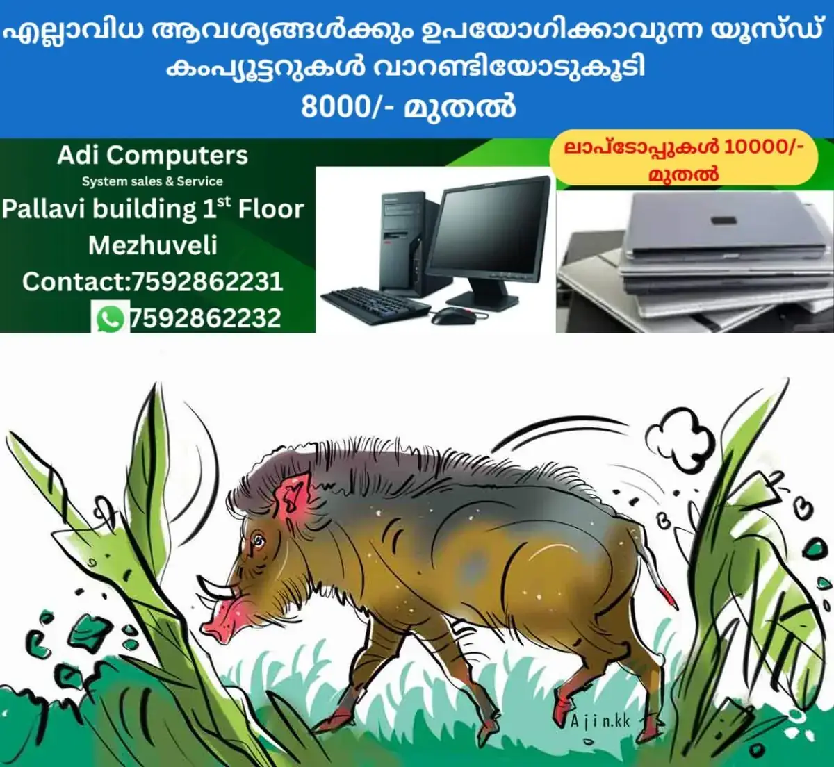 newskerala.net_1770343863_kozhikode-wild-boar-attack-sketch