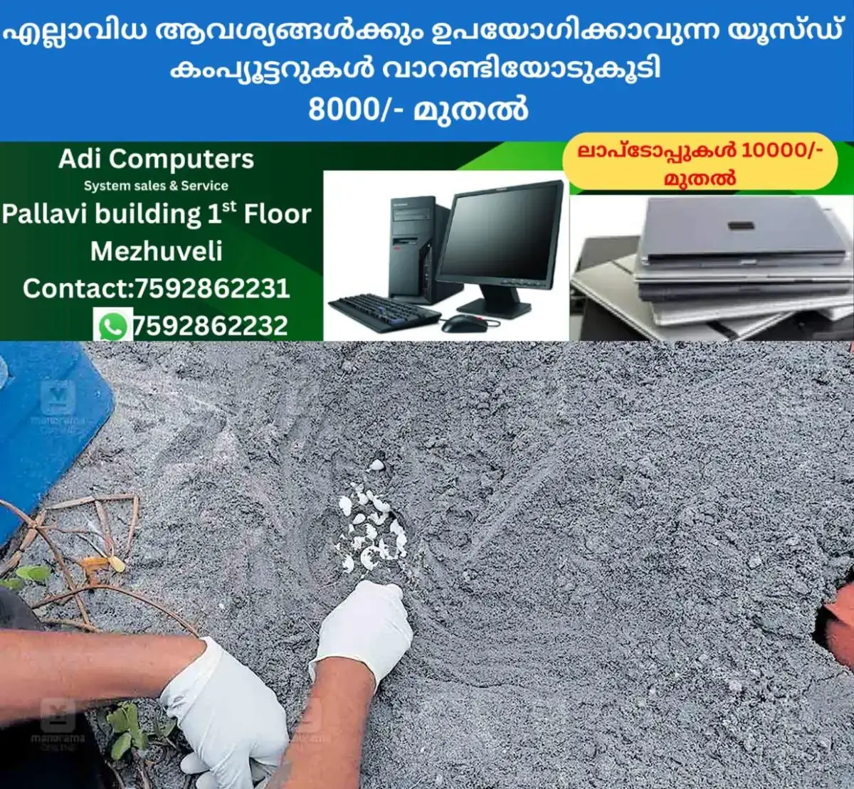 newskerala.net_1770346443_sea-turtles-nest-purakkad-1