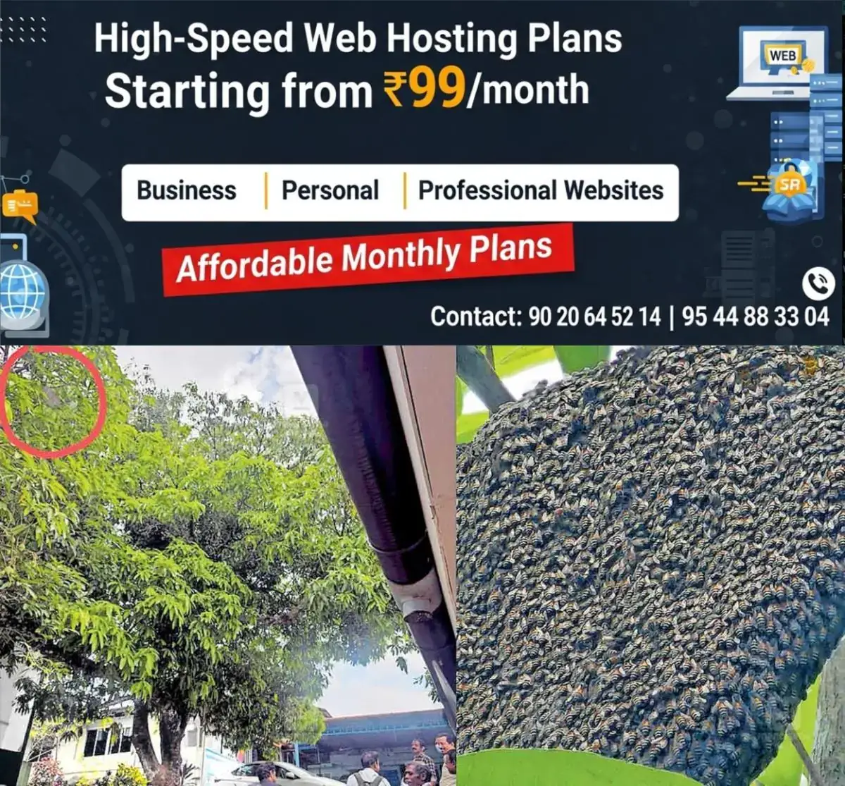 newskerala.net_1770351367_bee