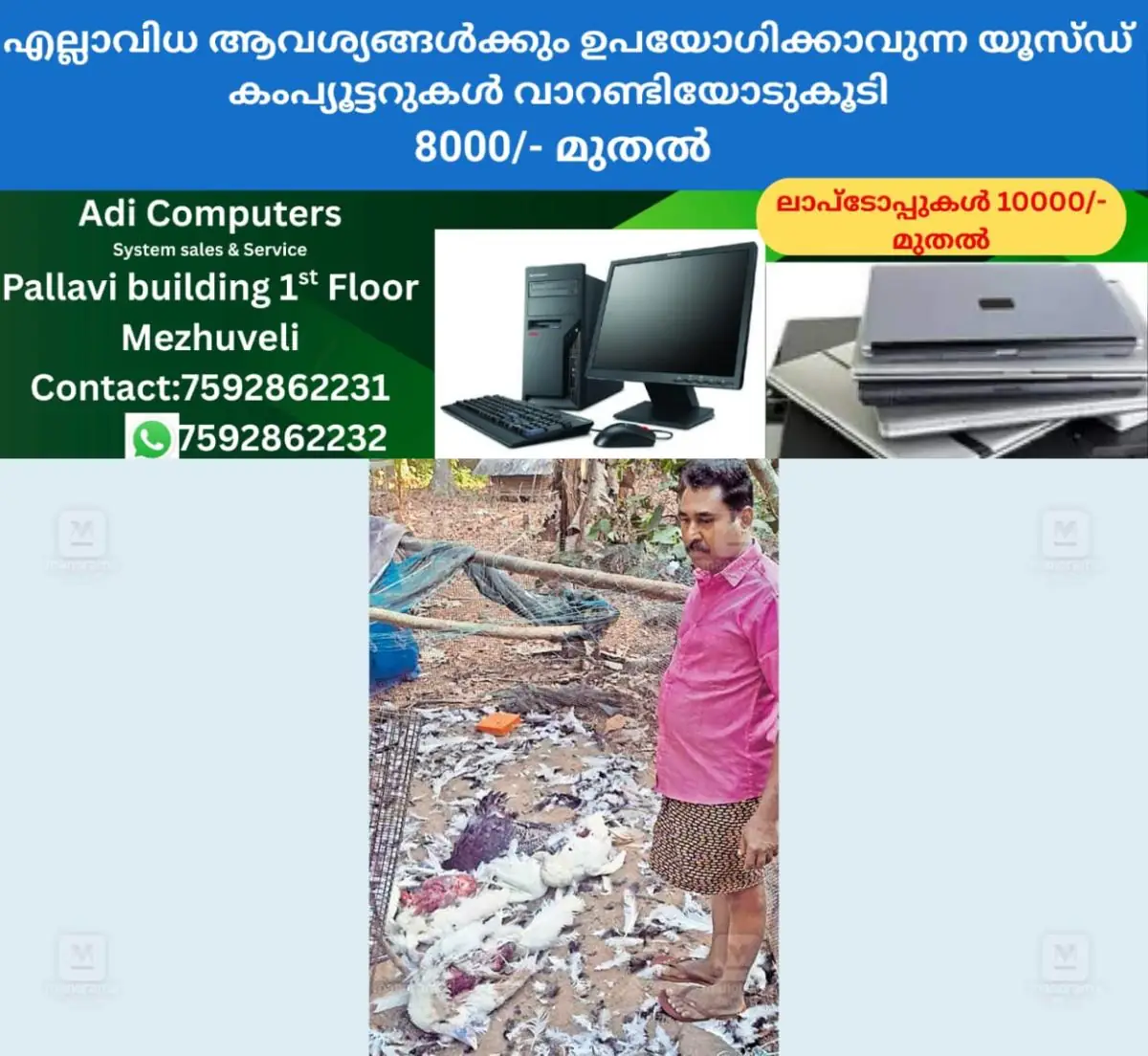 newskerala.net_1770359784_dog-attack-ktm