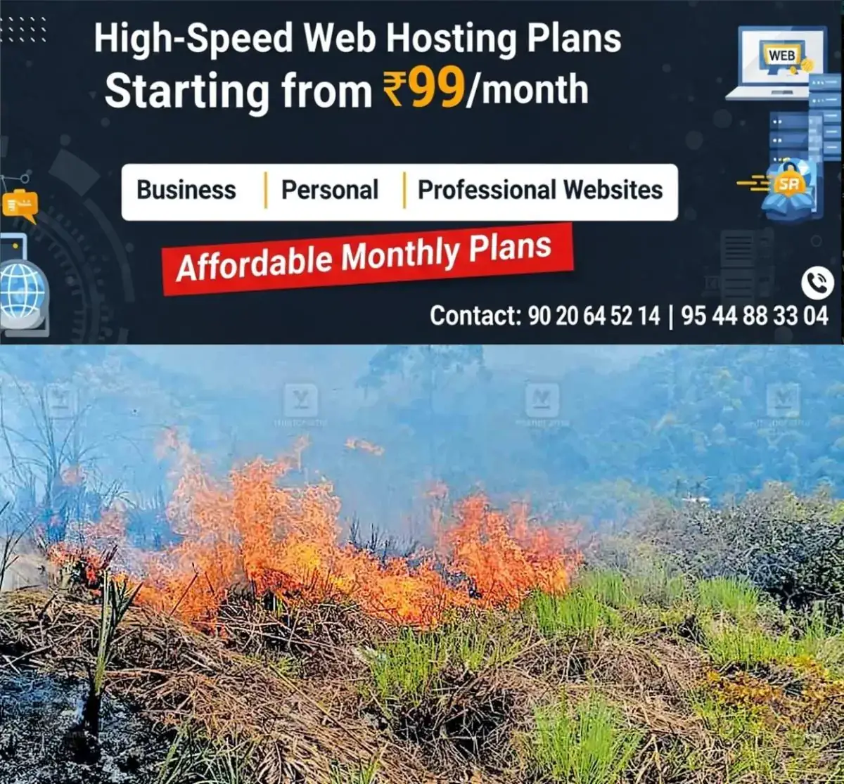newskerala.net_1770868692_1770868576_idukki-fire