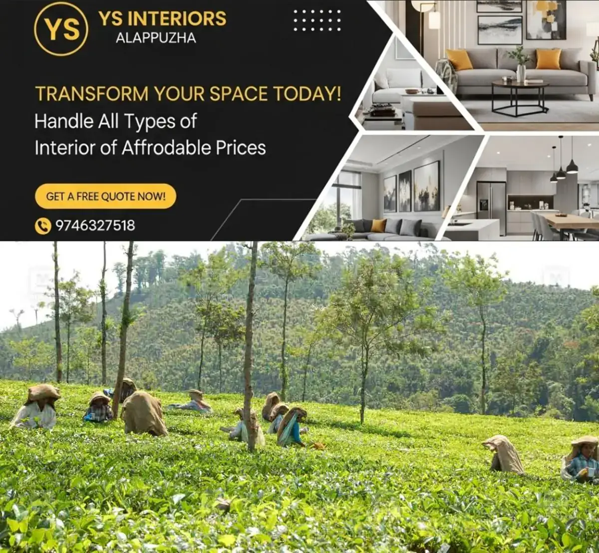 newskerala.net_1771134987_tea-estate-meppadi-wayanad-1