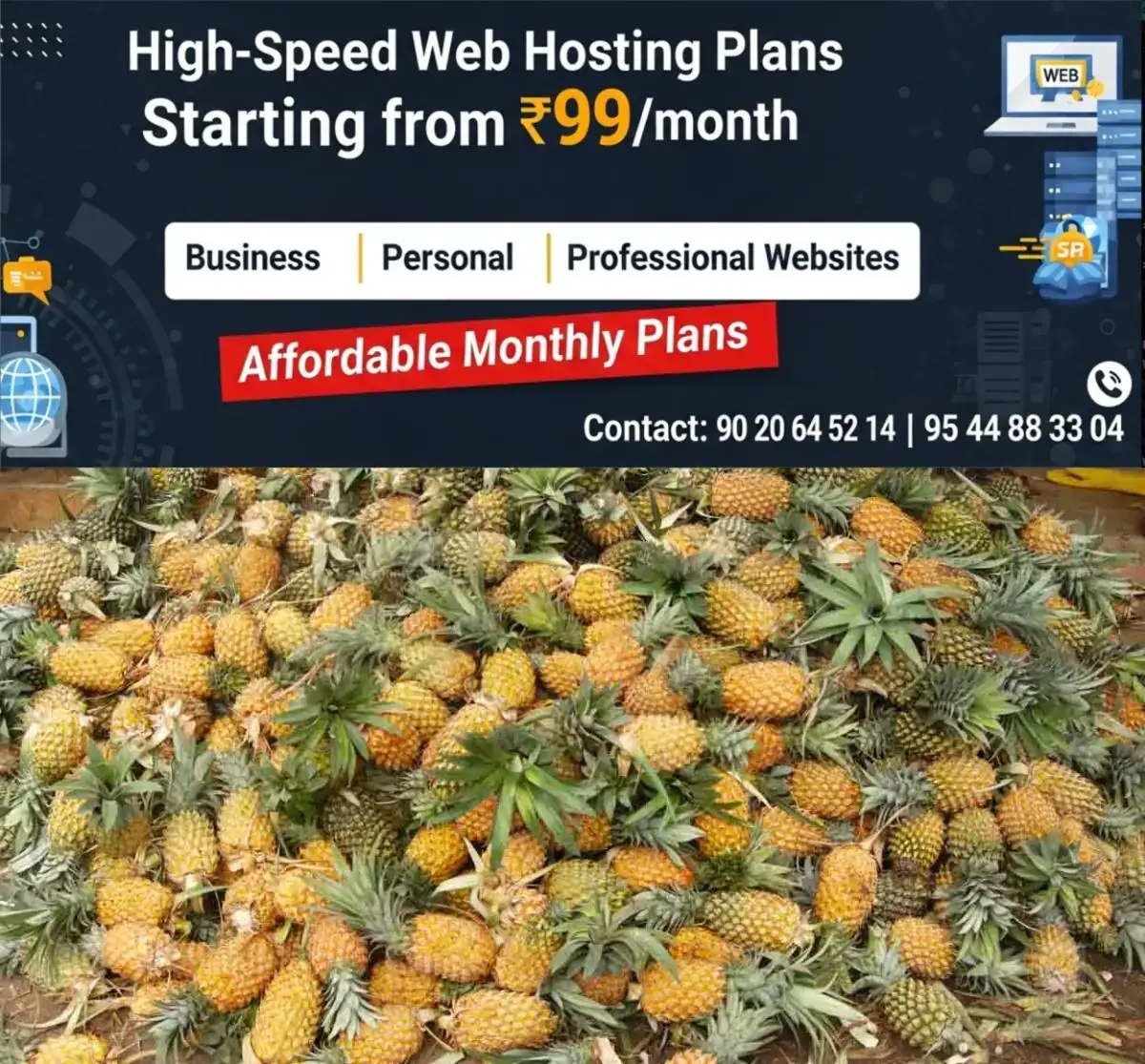newskerala.net_1771293783_pineapple-1