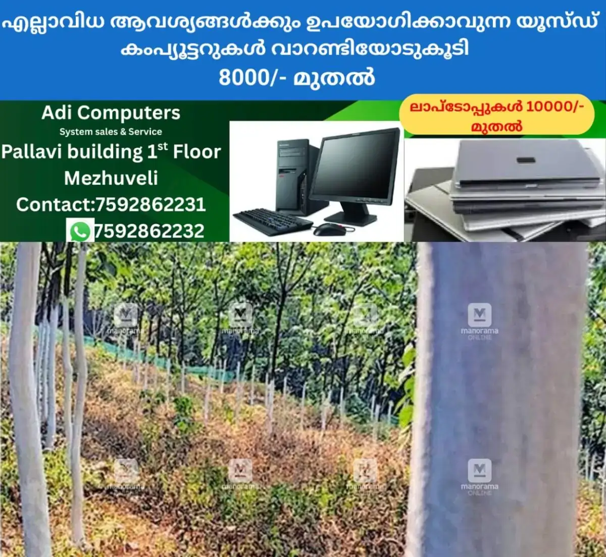 newskerala.net_1771471463_rubber1