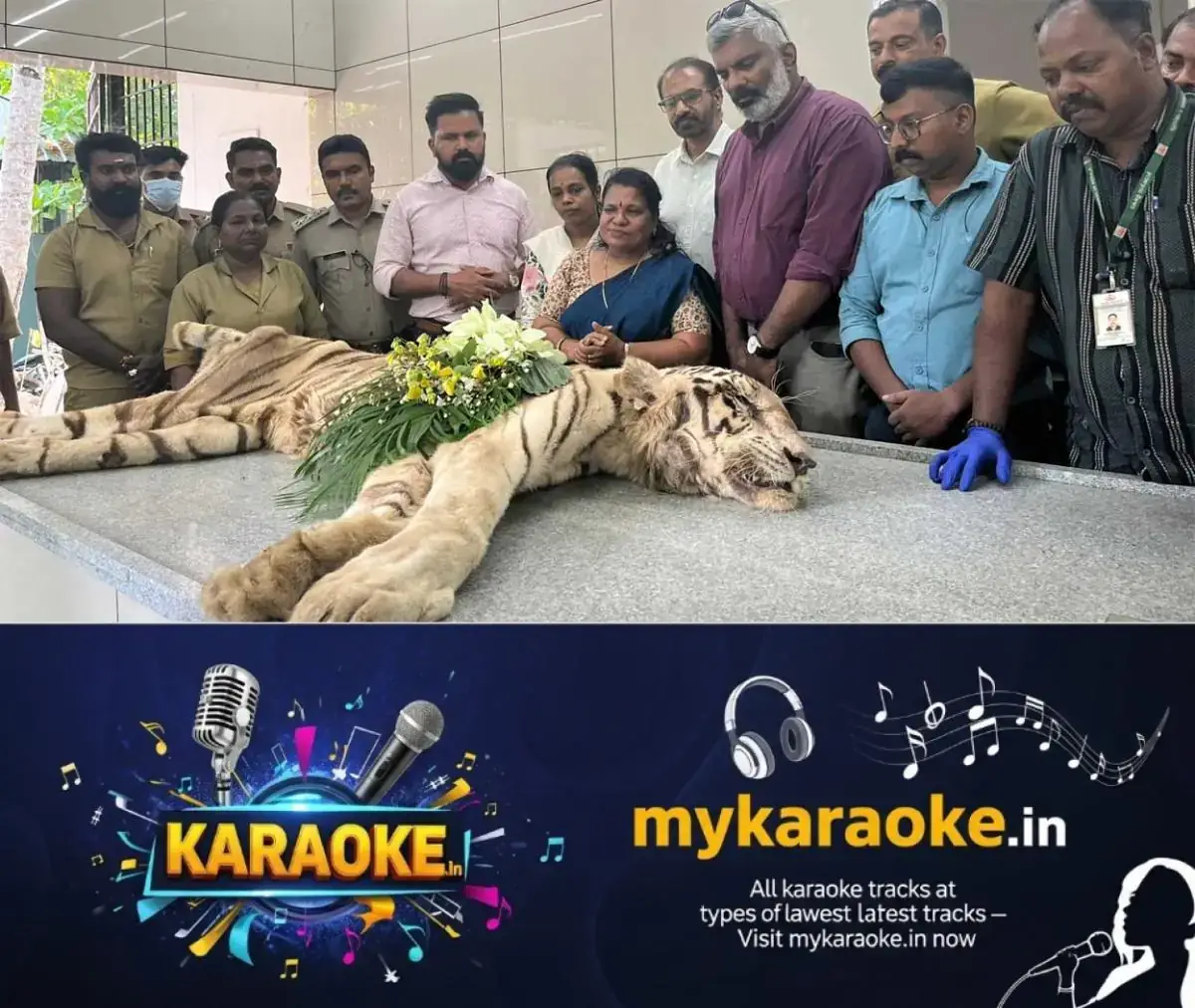 newskerala.net_1771597815_tiger-malar