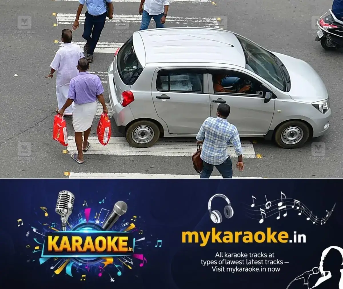 newskerala.net_1771651585_local-news-zebra-crossing-violations