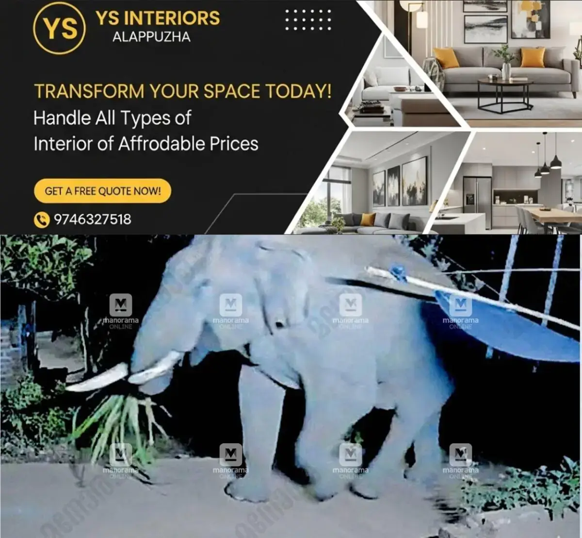newskerala.net_1771744444_elephant-wynd