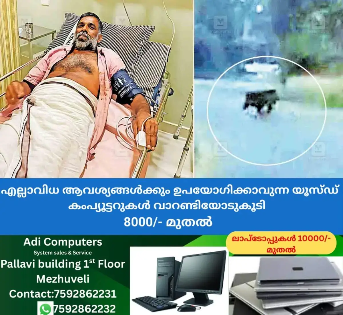newskerala.net_1771826886_wild-boar-attack