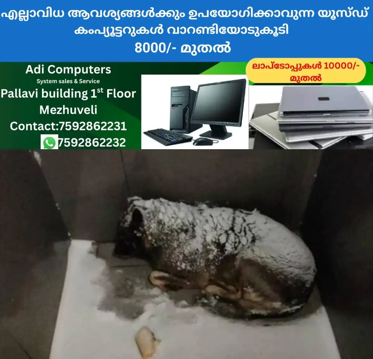 newskerala.net_1771919465_w-1280h-720format-jpgimgid-01kj79jjgpff5qfg53rd14bqaaimgname-new-project-2026-02-24t131011.997