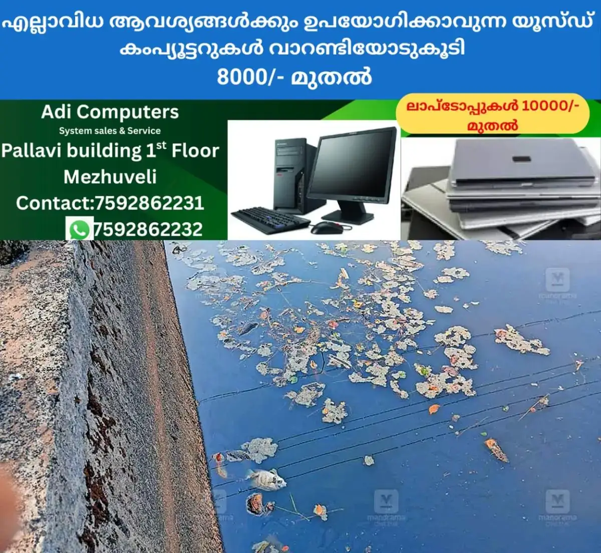 newskerala.net_1771995735_waste-fish