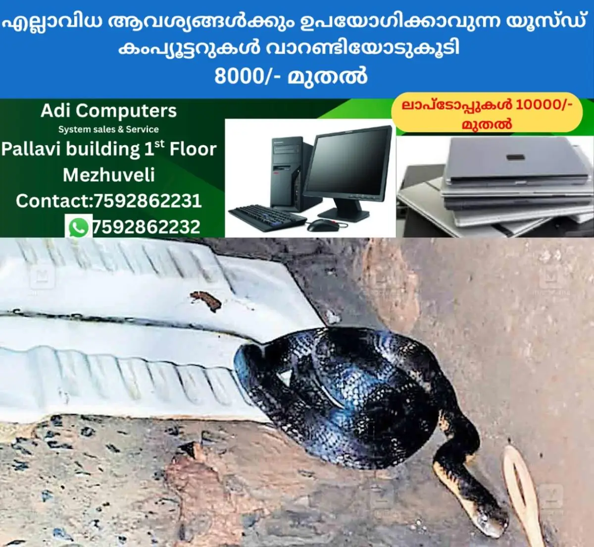newskerala.net_1772026107_king-cobra-toilet-iritty-1
