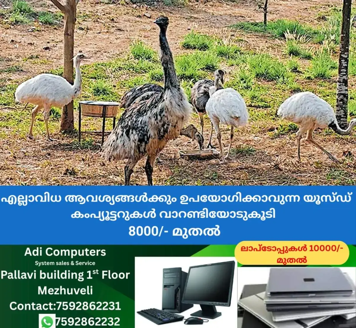 newskerala.net_1772078189_thrissur-birds