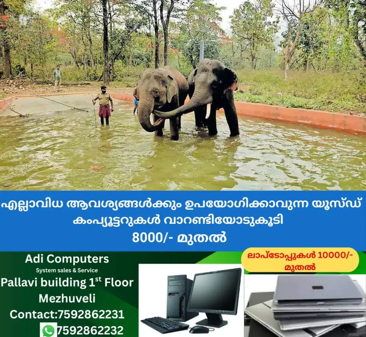 newskerala.net_1772164382_chadivayal-elephant-sanctuary-coimbatore-1