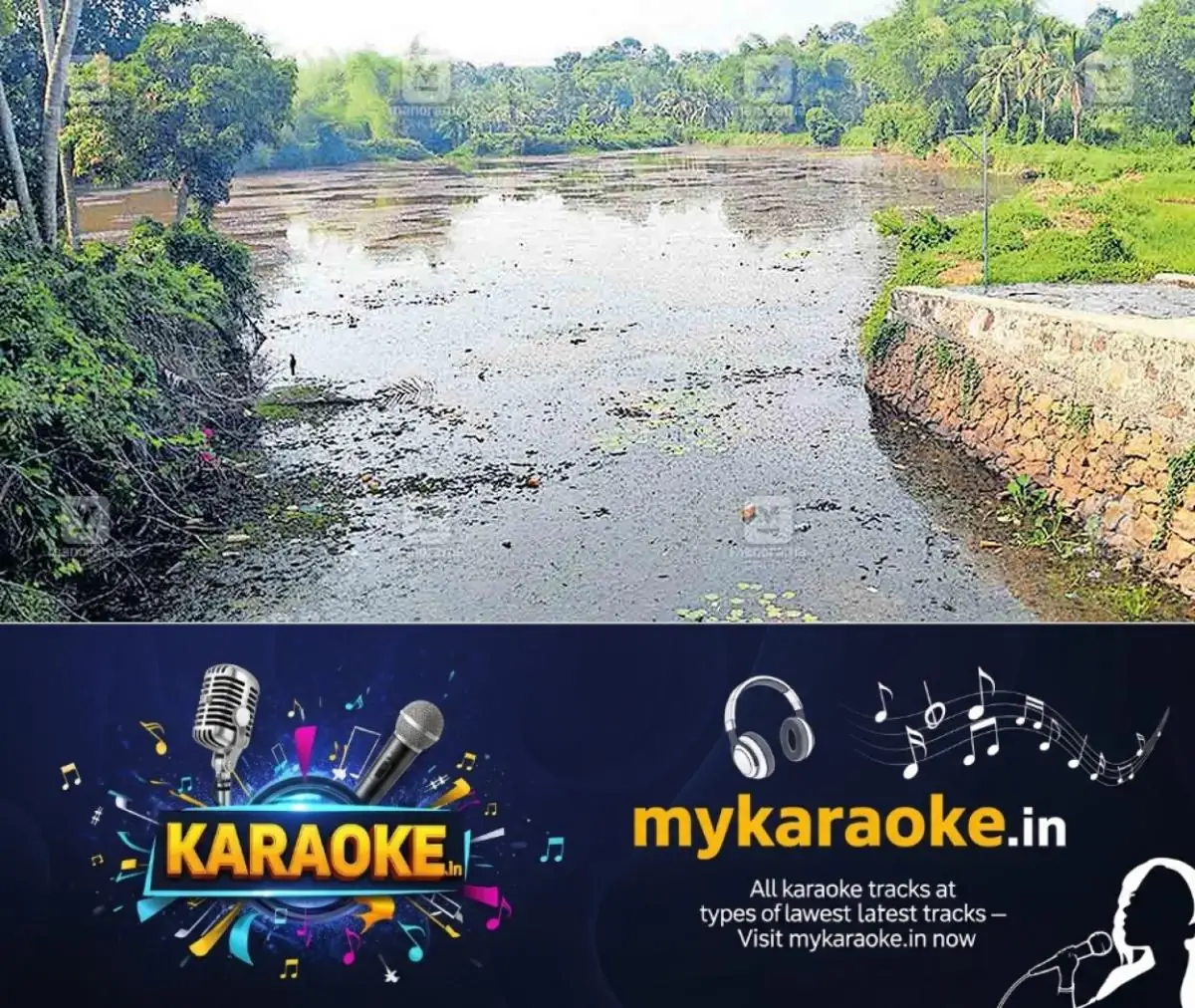 newskerala.net_1772591063_kunnamthanam-water-hyacinth-1