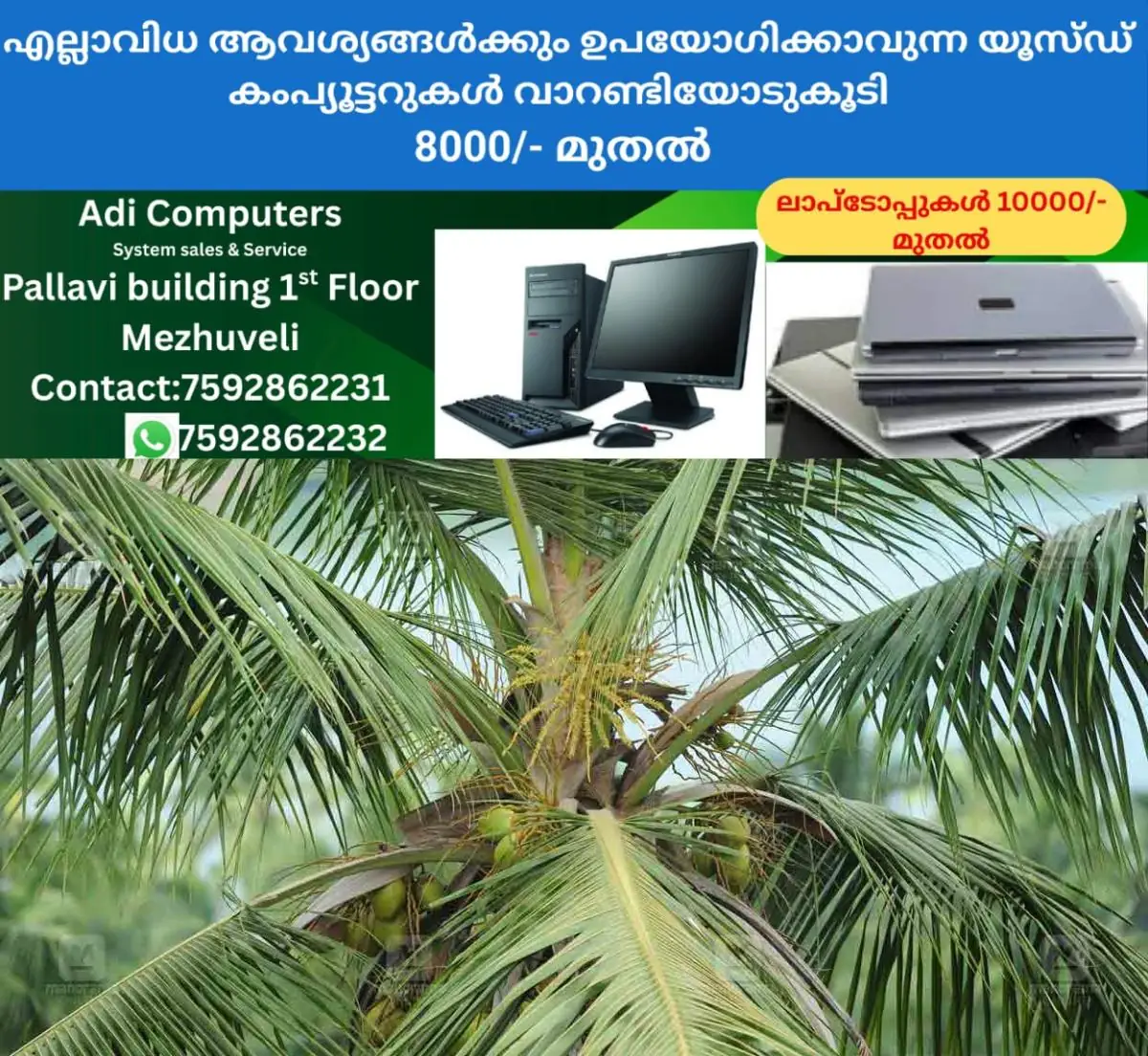 newskerala.net_1772688029_coconut-tee-1