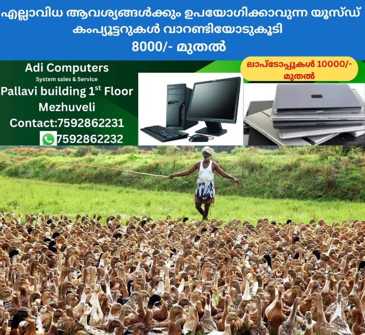 newskerala.net_1772885303_ducks-1
