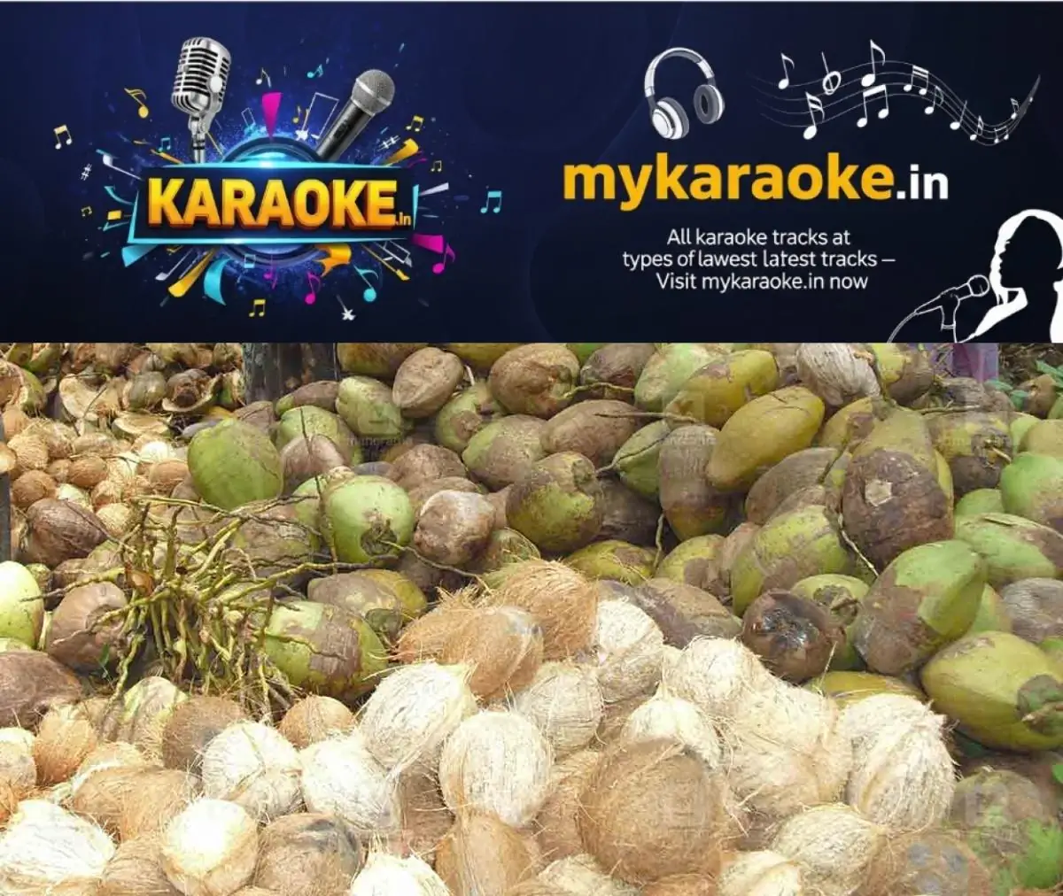 newskerala.net_1772888410_coconut-1