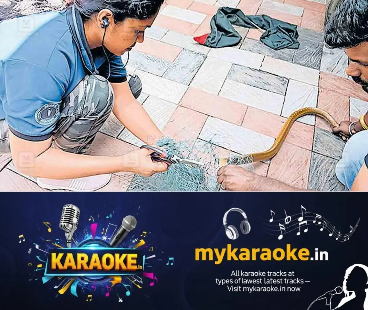 newskerala.net_1772945065_woman-snake-rescuer-radhu-1