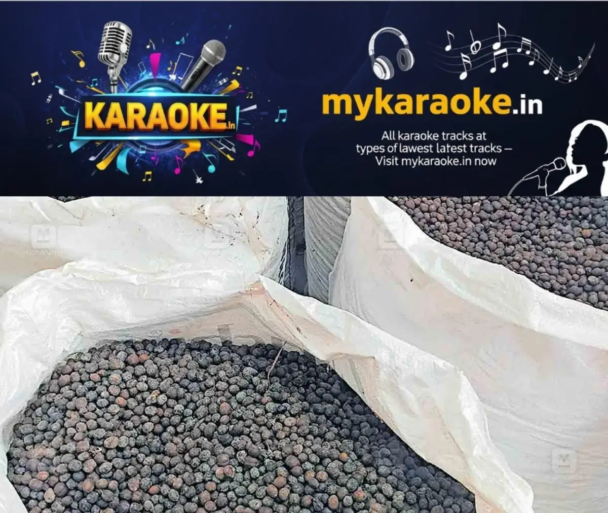 newskerala.net_1772949507_coffee-prices-1