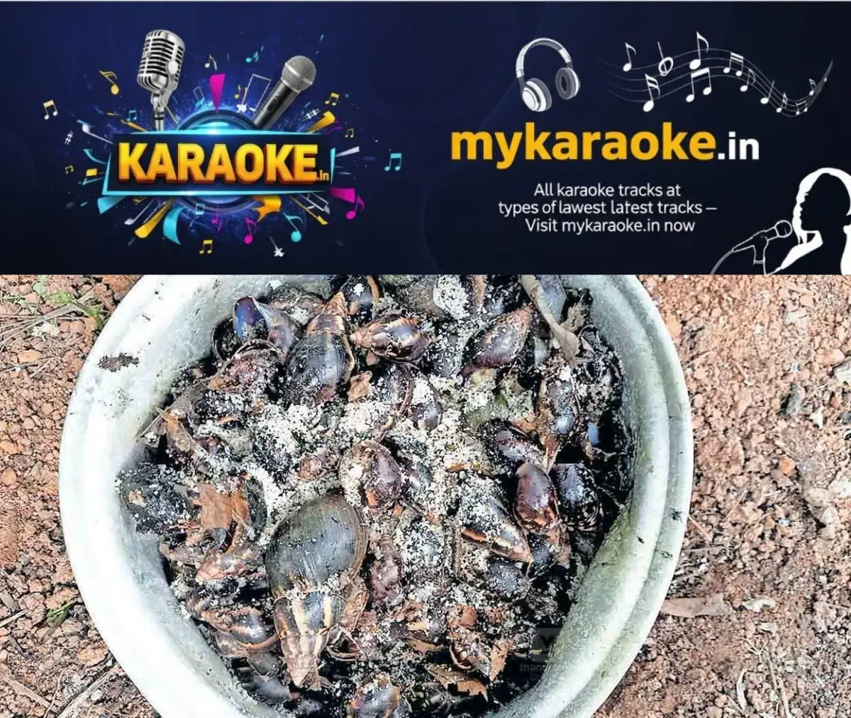 newskerala.net_1773209943_african-snail