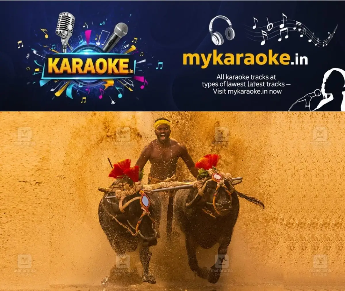 newskerala.net_1773401303_kambala-