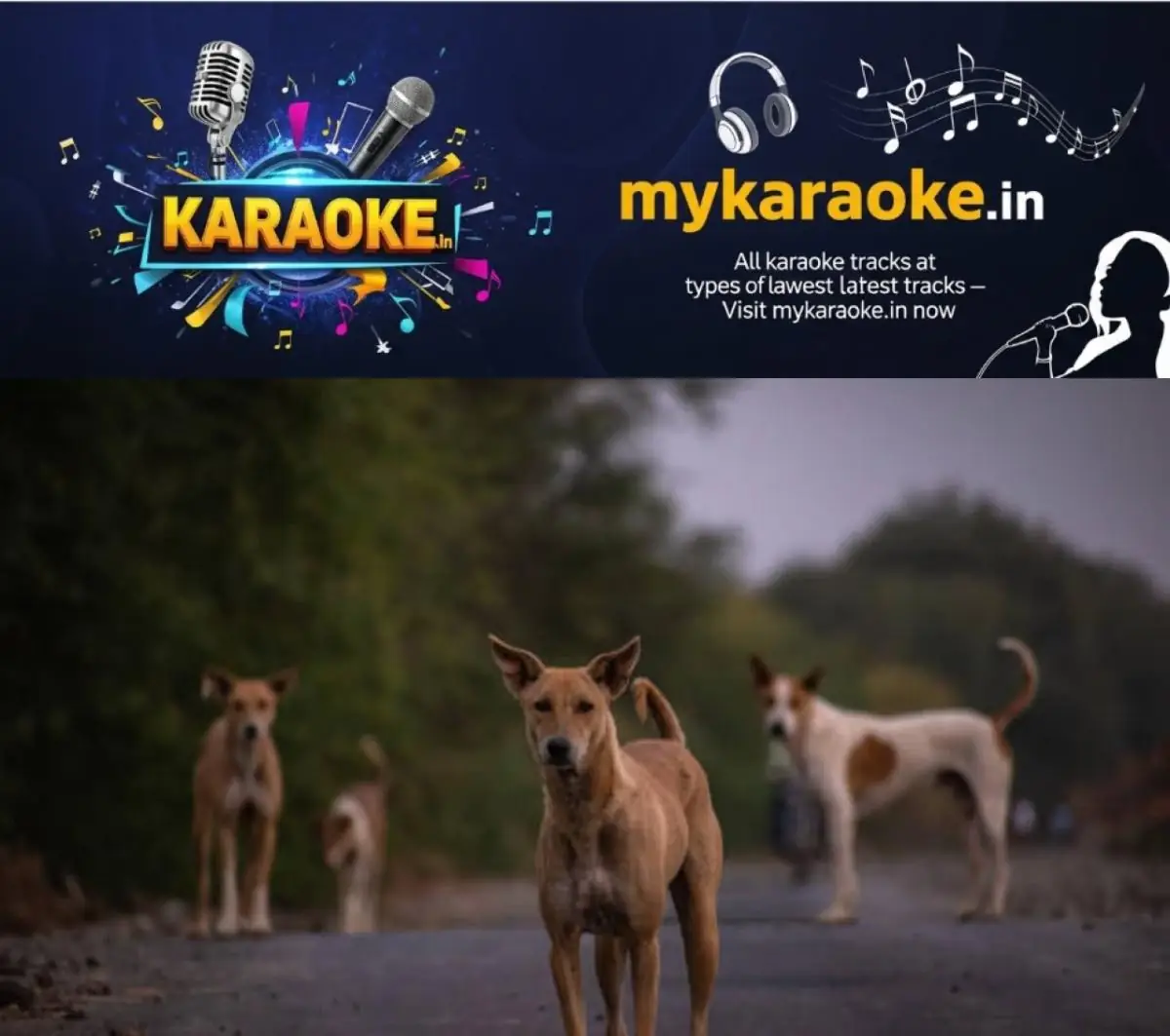newskerala.net_1773431068_w-1280h-720format-jpgimgid-01kfhkzgcz6tq44mcapf9xxdv8imgname-telangana-yacharam-panchayat-100-st