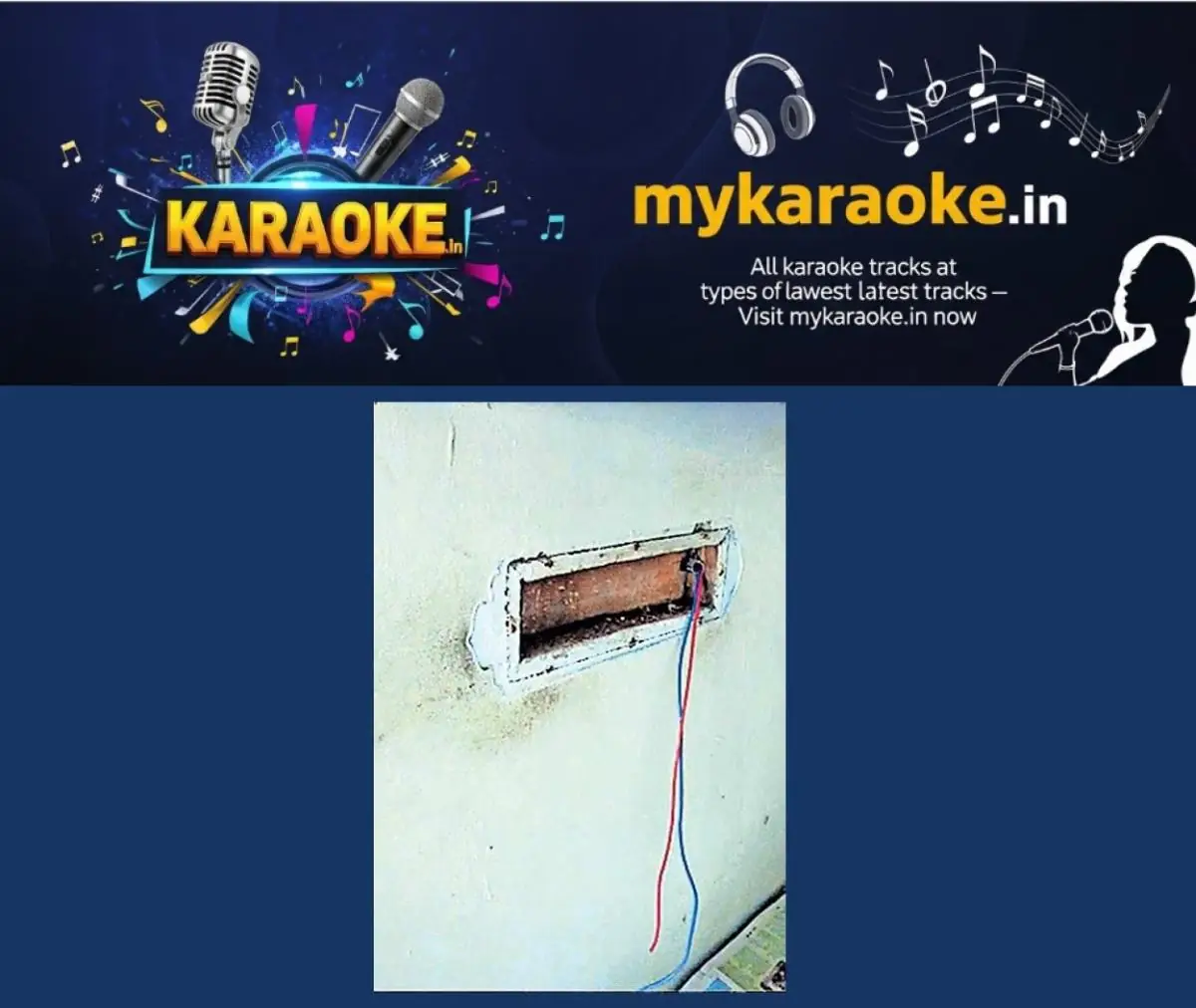 newskerala.net_1773637228_electric-wire-theft