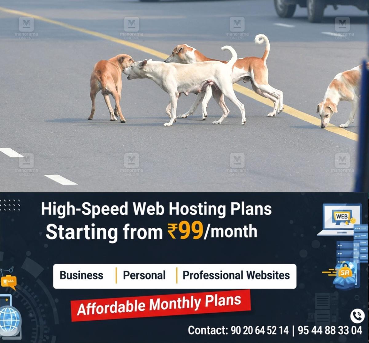 newskerala.net_1773810745_stray-dog-local