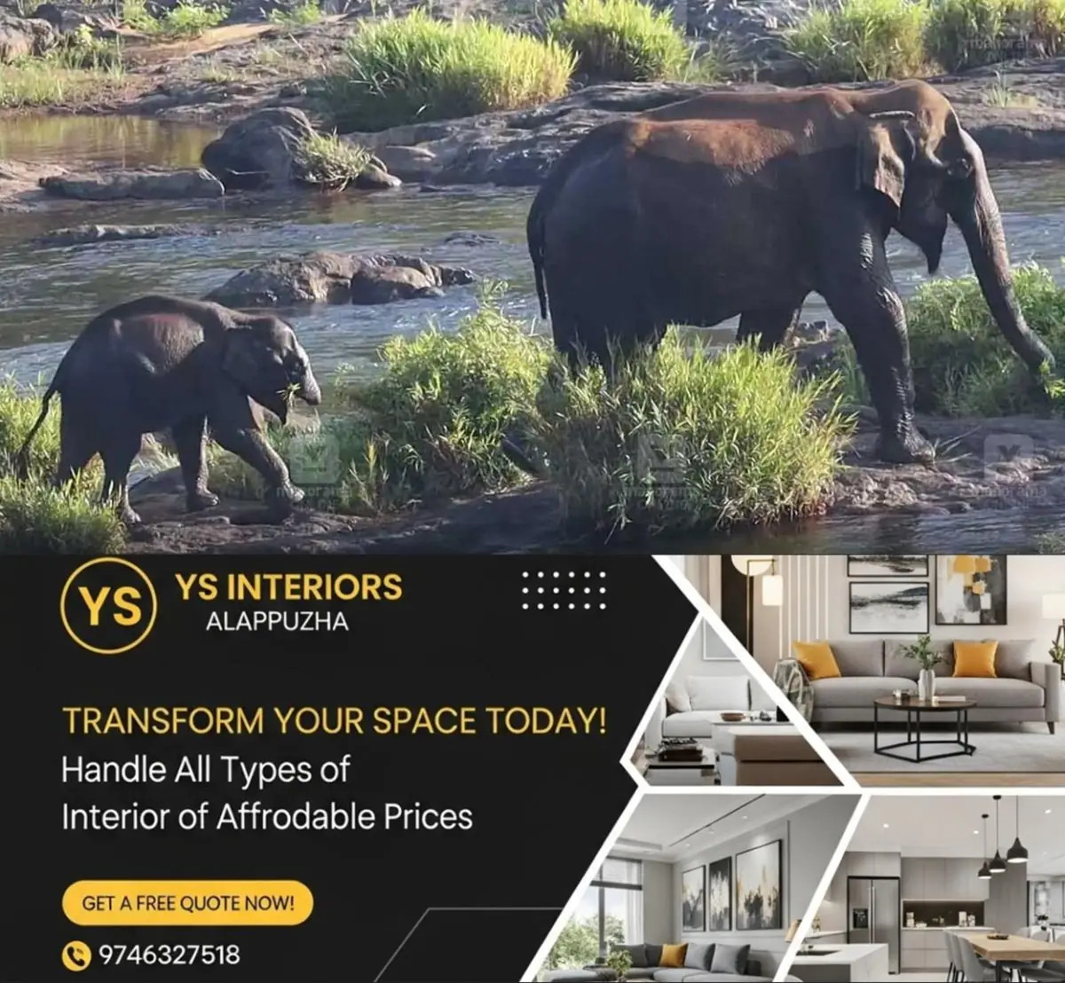 newskerala.net_1773994224_elephant1