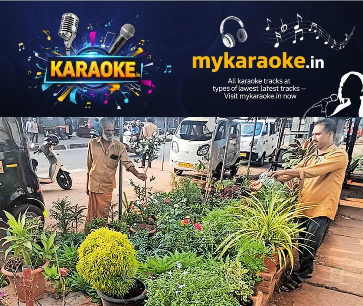 newskerala.net_1774072087_auto-stand-flower