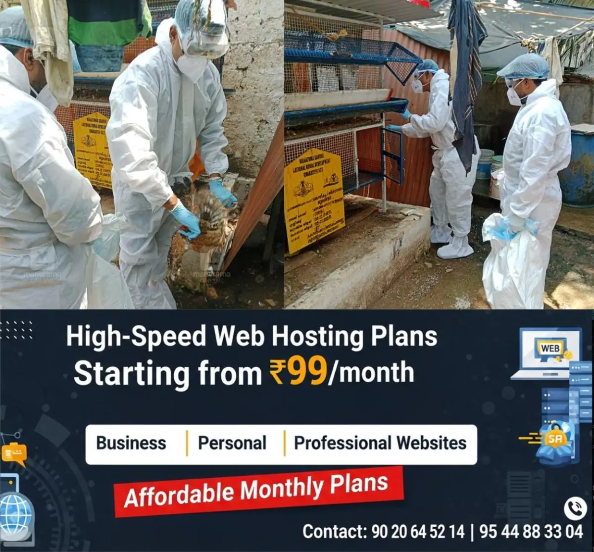 newskerala.net_1774086264_bird-flue-3