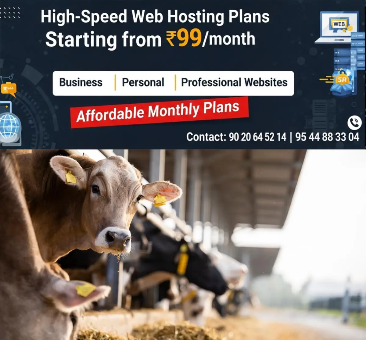 newskerala.net_1774160763_lumpy-skin-disease-outbreak-in-europe-a-cause-for-concern-animal-disease-cow-disease-cattle-farm-cow